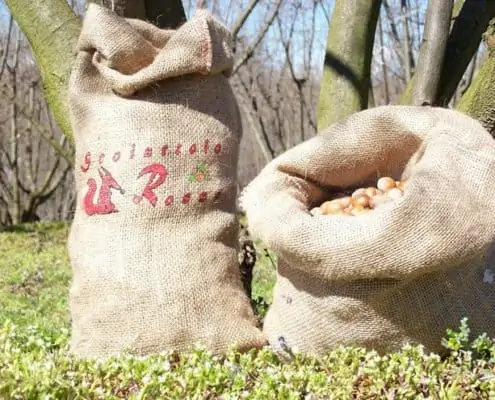 Piedmont PGI hazelnuts in yuta bag Scoiattolo Rosso italian farm nocciola igp piemonte