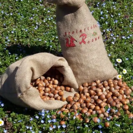 Piedmont p.g.i. hazelnuts in shell juta bag