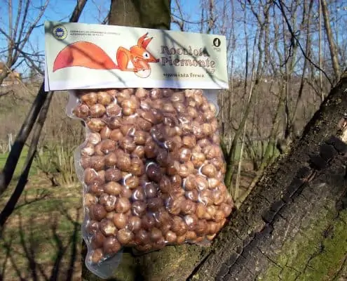piedmont hazelnut whitout shell