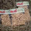 roasted piedmont pgi hazelnut 3