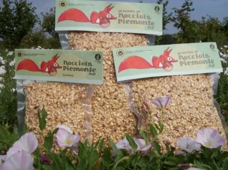 Piedmont p.g.i. hazelnut grains