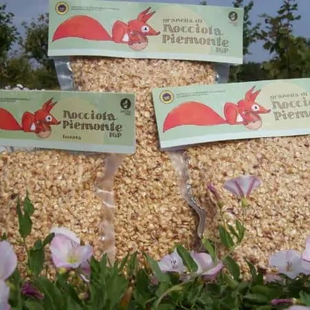 Piedmont p.g.i. hazelnut grains