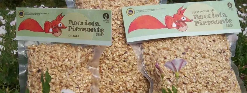 Piedmont p.g.i. hazelnut grains