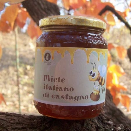 CHESTNUT HONEY 8 Chestnut honey scoiattolo rosso beekeeping