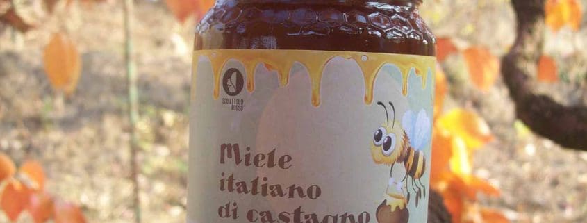 Chestnut honey scoiattolo rosso beekeeping