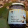 italian honey multiflowers by scoiattolo rosso farm that grown and sell online piedmont hazelnuts