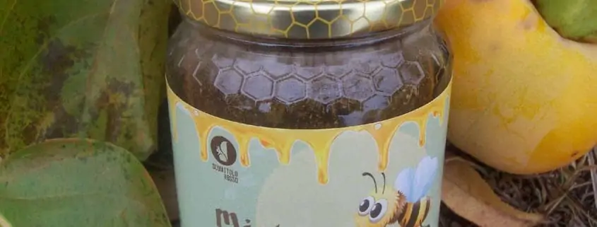 italian honey multiflowers by scoiattolo rosso farm that grown and sell online piedmont hazelnuts