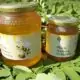 Acacia honey Scoiattolo Rosso beekeeping