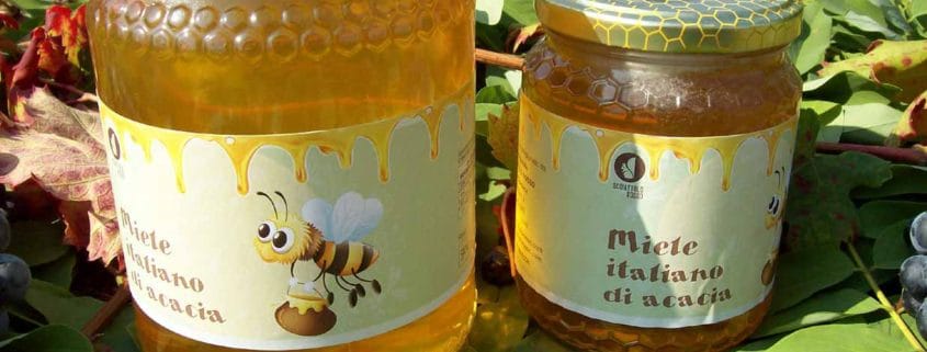Acacia honey Scoiattolo Rosso beekeeping