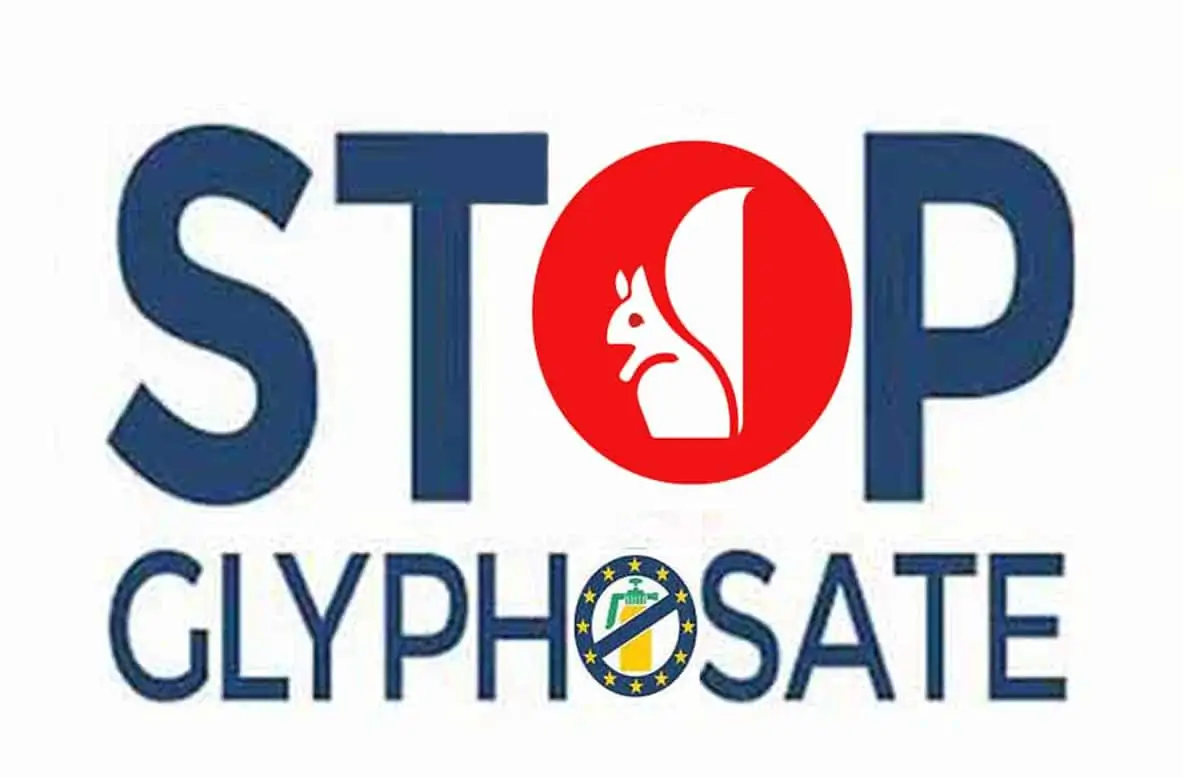 stop glif SCOIAT copia