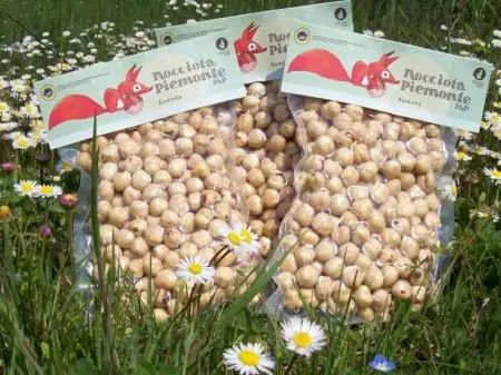 Piedmont p.g.i. roasted hazelnuts