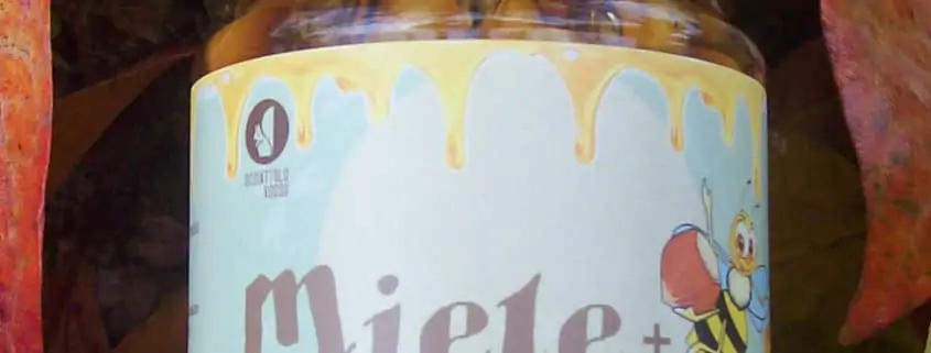 Miel + multiflowers honey with piedmont roasted hazelnuts