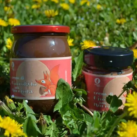 Chocolate cream Gianduia