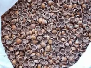 heating with hazelnut shells