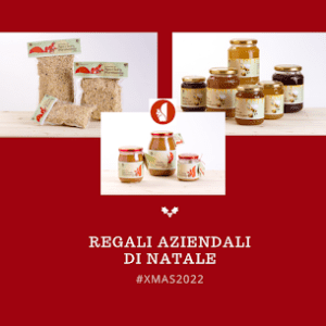 News 5 natale scoiattolo rosso