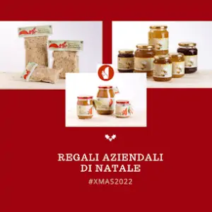 natale scoiattolo rosso