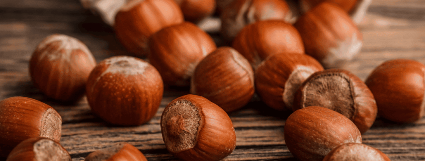 Benefits of hazelnuts: why they are good for you 1 beneficts of hazelnuts