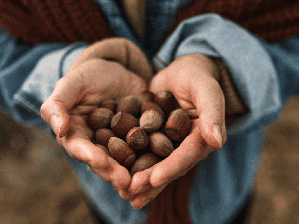 benefits of hazelnuts on skin and hair