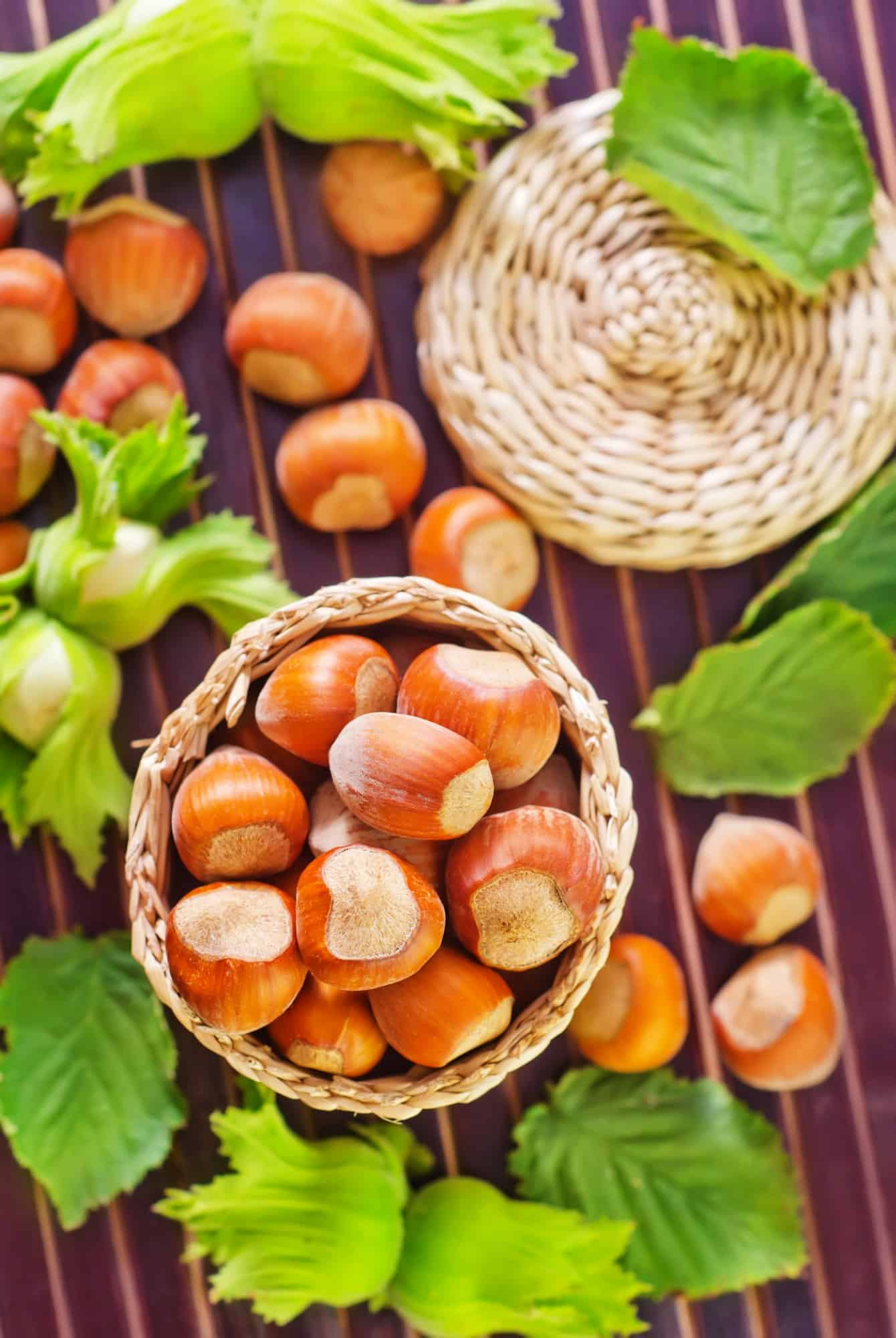 hazelnuts 1