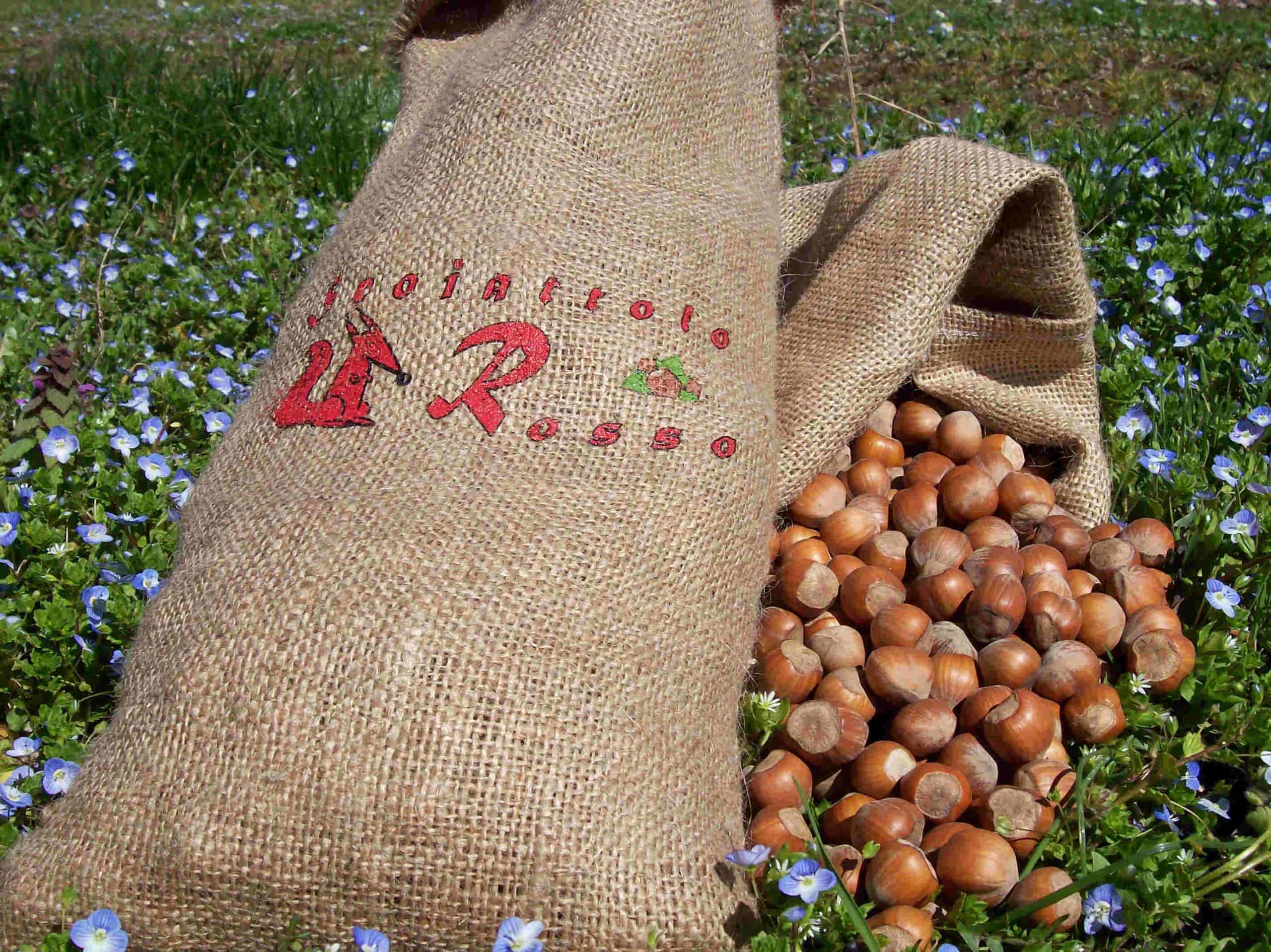nocciole piemonte igp guscio scaled 1